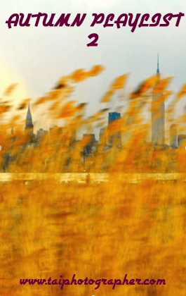 fall2 copy fall2 copy