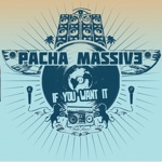 pacha_cover