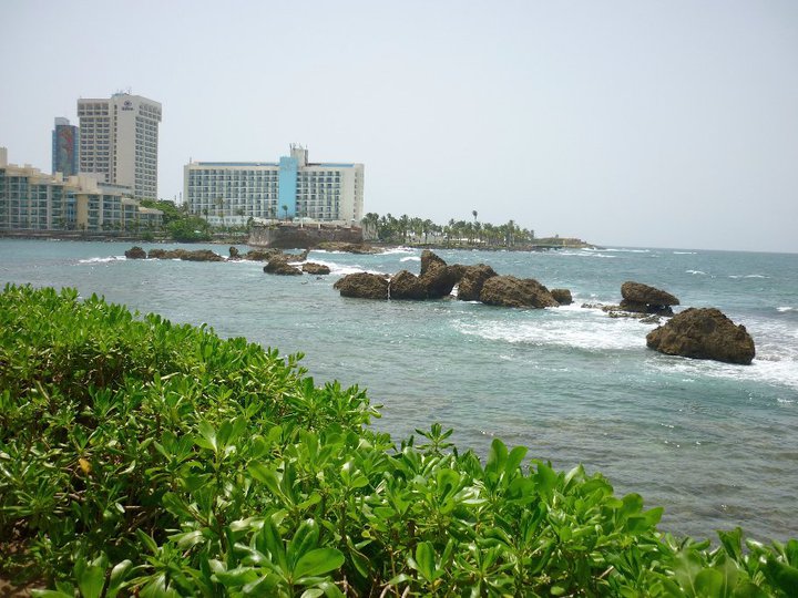 The Island of Vieques